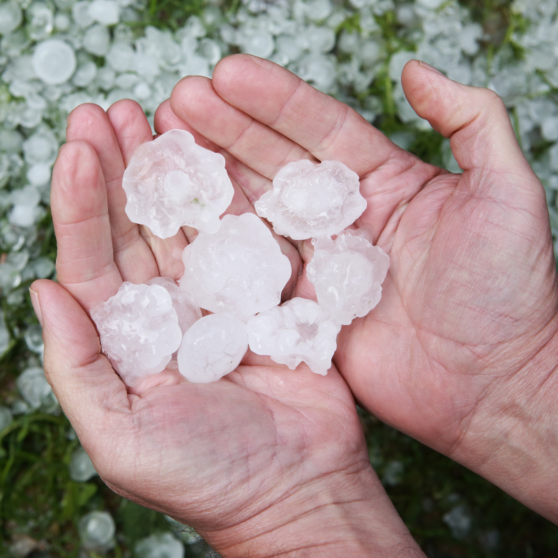 hands-holding-large-pieces-of-hail